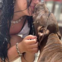 Hondenopvang Den Haag: Isa