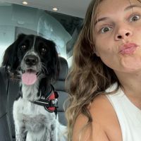 Hondenoppas Nijmegen: Wieneke