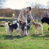 Hondenoppas Beers: Debbie