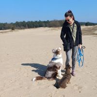 Hondenuitlaatservice Apeldoorn: Naomi