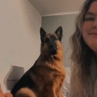 Hondenoppas Staphorst: Indy