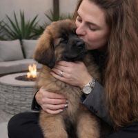 Hondenuitlaatservice Deventer: Mina