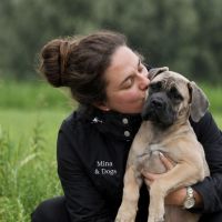 Hondenuitlaatservice Deventer: Mina