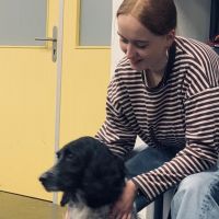 Hondenoppas Den Haag: Lily