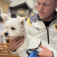 Hondenuitlaatservice Ede: Vincent