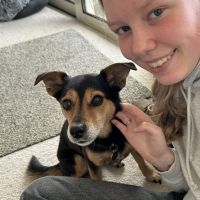 Hondenoppas Eindhoven: Els