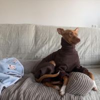 Hondenoppas werk Amsterdam: baasje van Badem