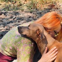 Hondenoppas Gasselte: Marlijn