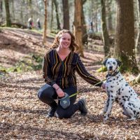 Hondenoppas Ommen: Carin