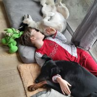 Hondenoppas werk Doorwerth: baasje van Rover, Daf