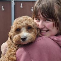 Hondenoppas Boxtel: Jade