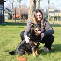 Hondenoppas Luttenberg: Eline