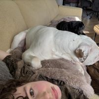 Hondenuitlaatservice Den Haag: Lizzie