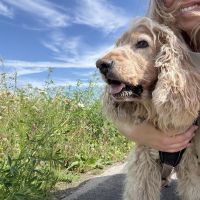 Hondenoppas Apeldoorn: Gioia