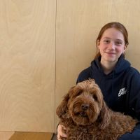 Hondenoppas Delft: Rosie