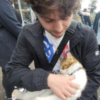 Hondenoppas Vlaardingen: Timo