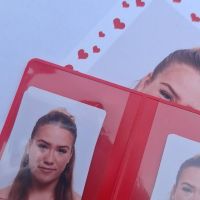 Hondenoppas Velsen-Noord: Dilana
