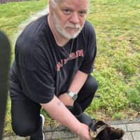 Hondenoppas Bergen op Zoom: Henk