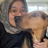 Hondenuitlaatservice Arnhem: Nikita
