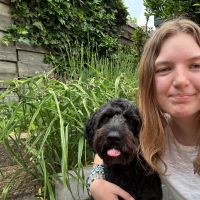Hondenoppas Huizen: Fenna