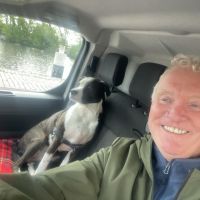 Hondenopvang Zandvoort (Noord-Holland): Paul