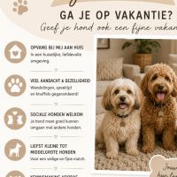 Hondenoppas Hoogeveen: Charissa