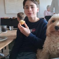 Hondenuitlaatservice Woerden: Thom