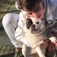 Hondenoppas Oegstgeest: Dante