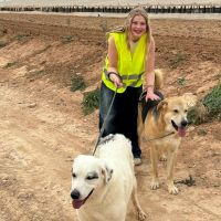 Hondenuitlaatservice Amstelveen: Manou