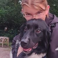 Hondenuitlaatservice Beusichem: Ailey