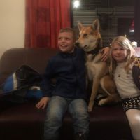 Hondenoppas Medemblik: Guido