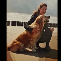 Hondenoppas Middelburg (Zeeland): Marisca