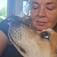 Hondenoppas werk Amersfoort: baasje van Duke