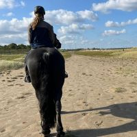 Hondenuitlaatservice Deventer: Esmée