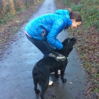 Hondenoppas Wageningen: Hadassa