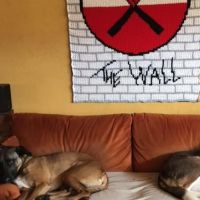 Hondenoppas werk Ridderkerk: baasje van Ava en Thor