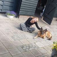 Hondenoppas Groningen: Marloes