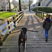 Hondenoppas Alphen aan den Rijn: Patricia