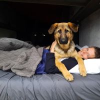Hondenoppas Bergen op Zoom: Caitlin