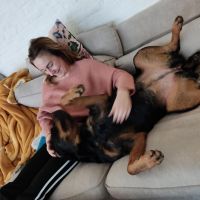 Hondenoppas werk Zoetermeer: baasje van Belle