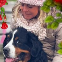 Hondenopvang Emmen (Drenthe): Cynthia