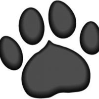 Hondenoppas Bilthoven: Linda