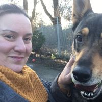 Hondenopvang Den Haag: Denise