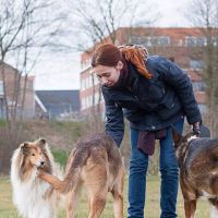 Hondenoppas Dieren: Anouk