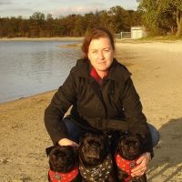 Hondenopvang Tweede Exloërmond: Gisela 