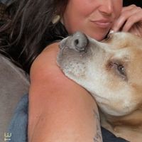 Hondenopvang Amsterdam: Kimberley