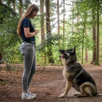 Hondenuitlaatservice Tilburg: Janneke