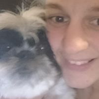 Hondenopvang Spijkenisse: Claudia