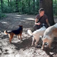 Hondenoppas Gorredijk: Danielle