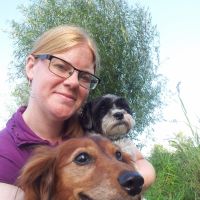 Hondenopvang Alkmaar: Daisy